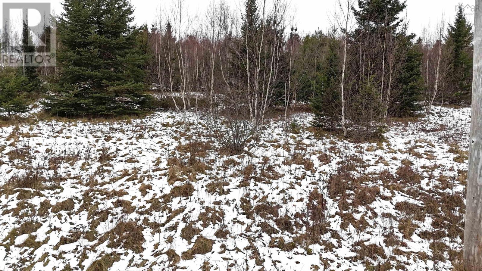 Lot 105 East Clifford Road, East Clifford, Nova Scotia  B4V 7R8 - Photo 23 - 202501300