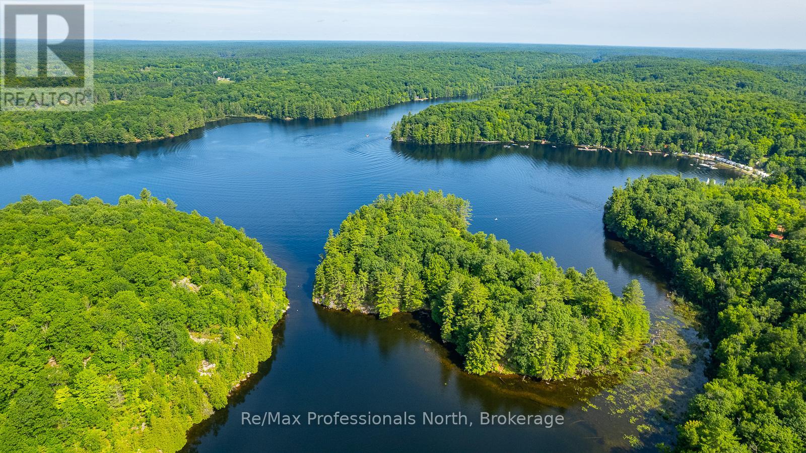1272 Little Bob Lake Road, Minden Hills, Ontario  K0M 2K0 - Photo 13 - X11933733
