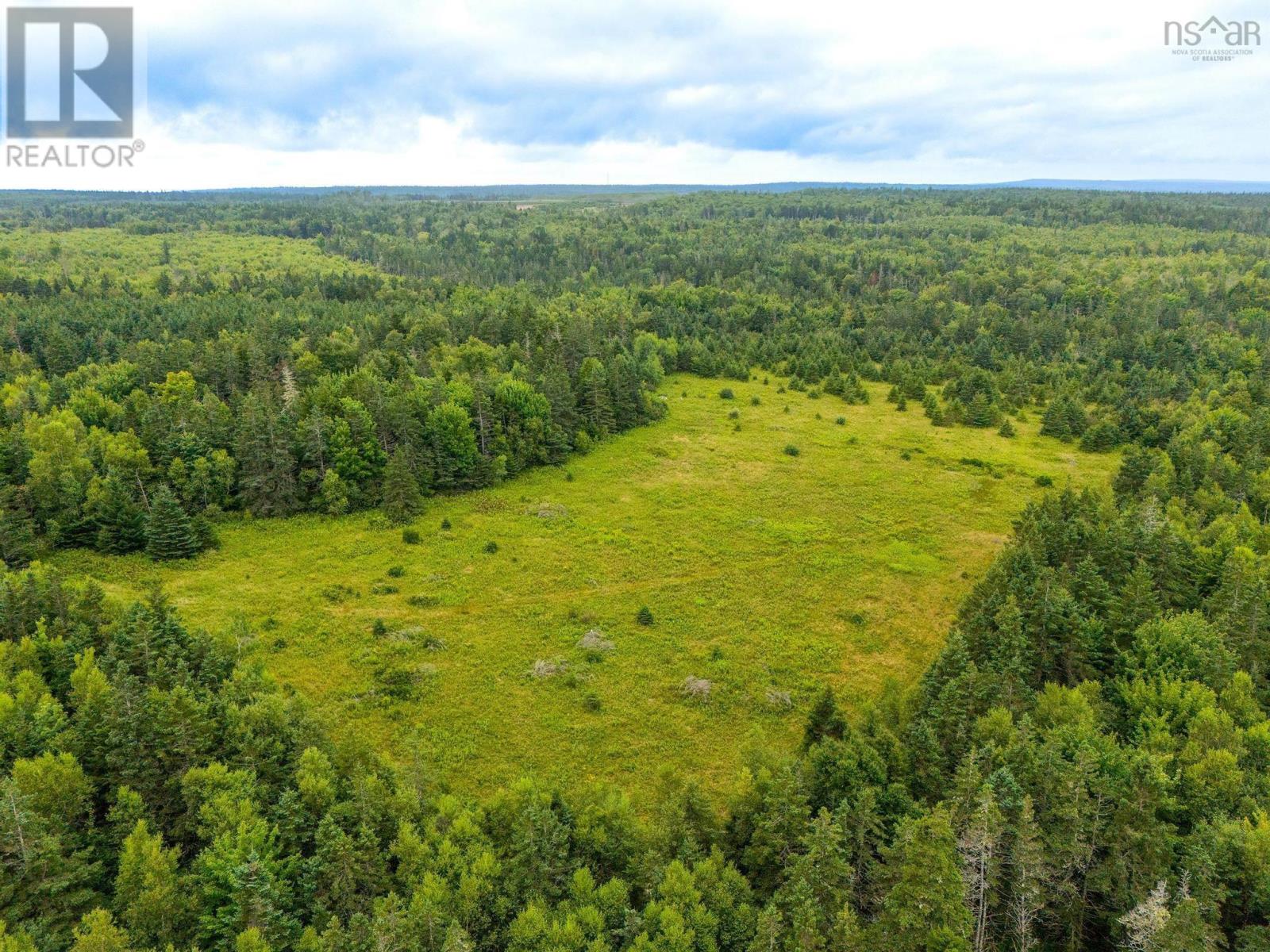 239 Brinton Road, Port Lorne, Nova Scotia  B0S 1L0 - Photo 3 - 202501326