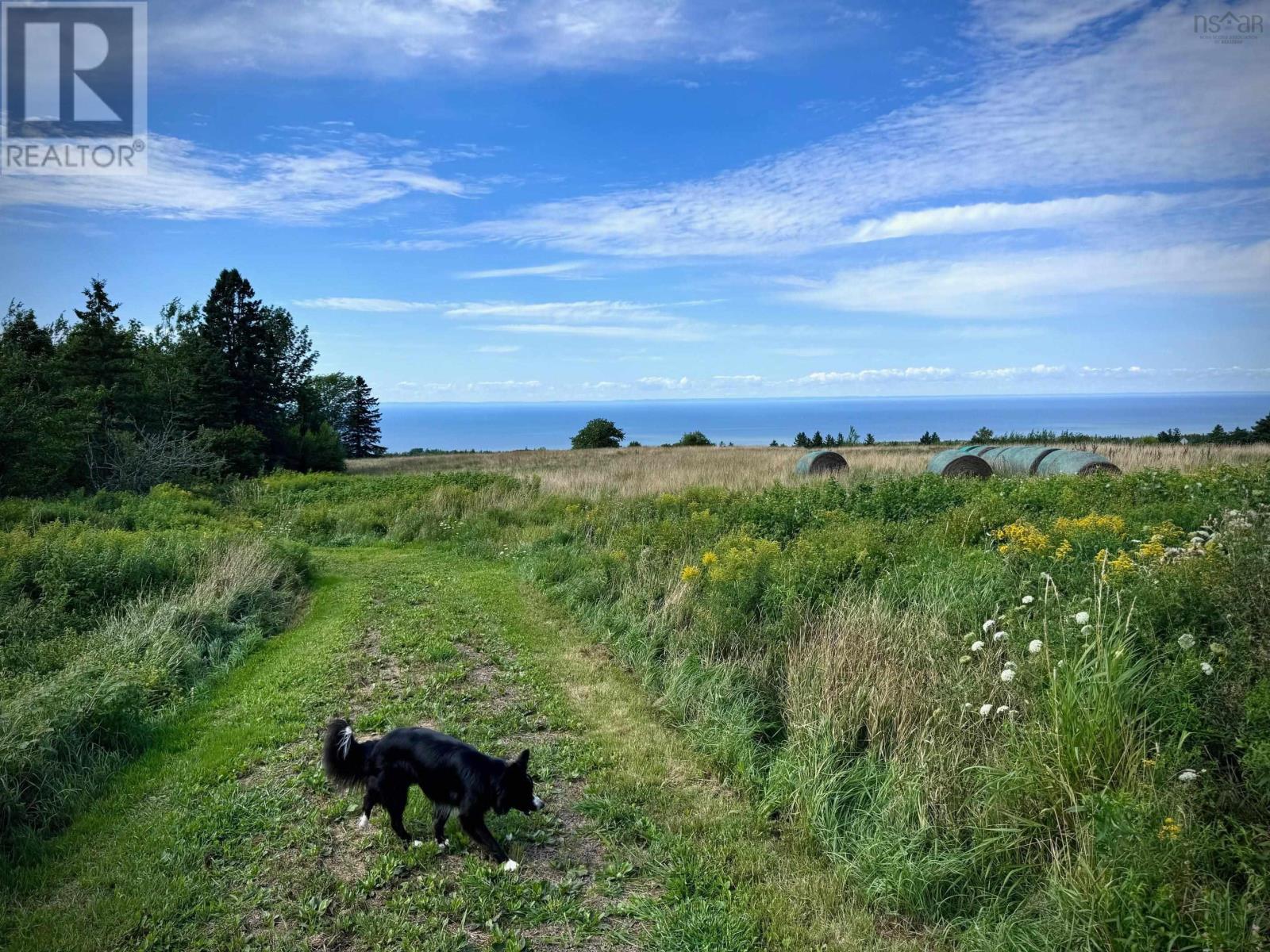 239 Brinton Road, Port Lorne, Nova Scotia  B0S 1L0 - Photo 44 - 202501326