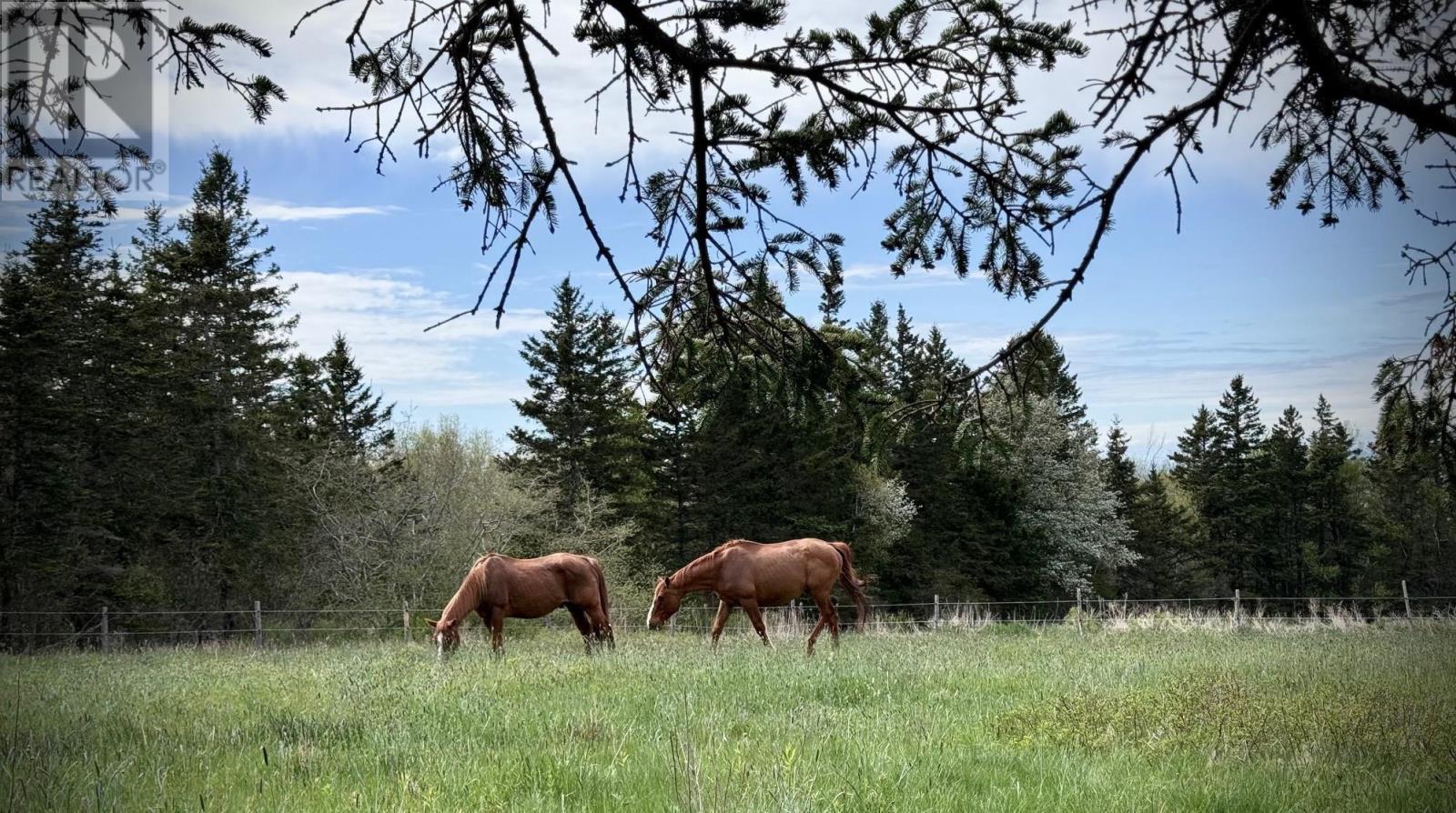 239 Brinton Road, Port Lorne, Nova Scotia  B0S 1L0 - Photo 46 - 202501326
