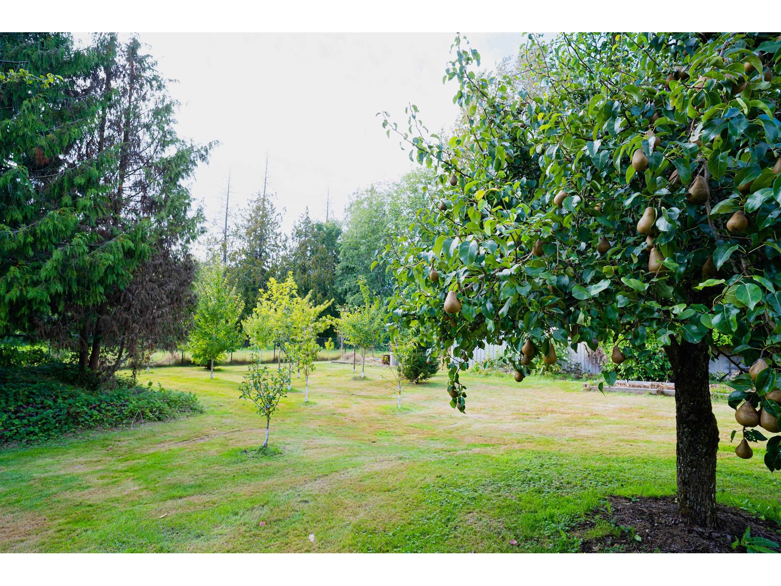 2283 204a Street, Langley, British Columbia  V2Z 2A2 - Photo 35 - R2958465