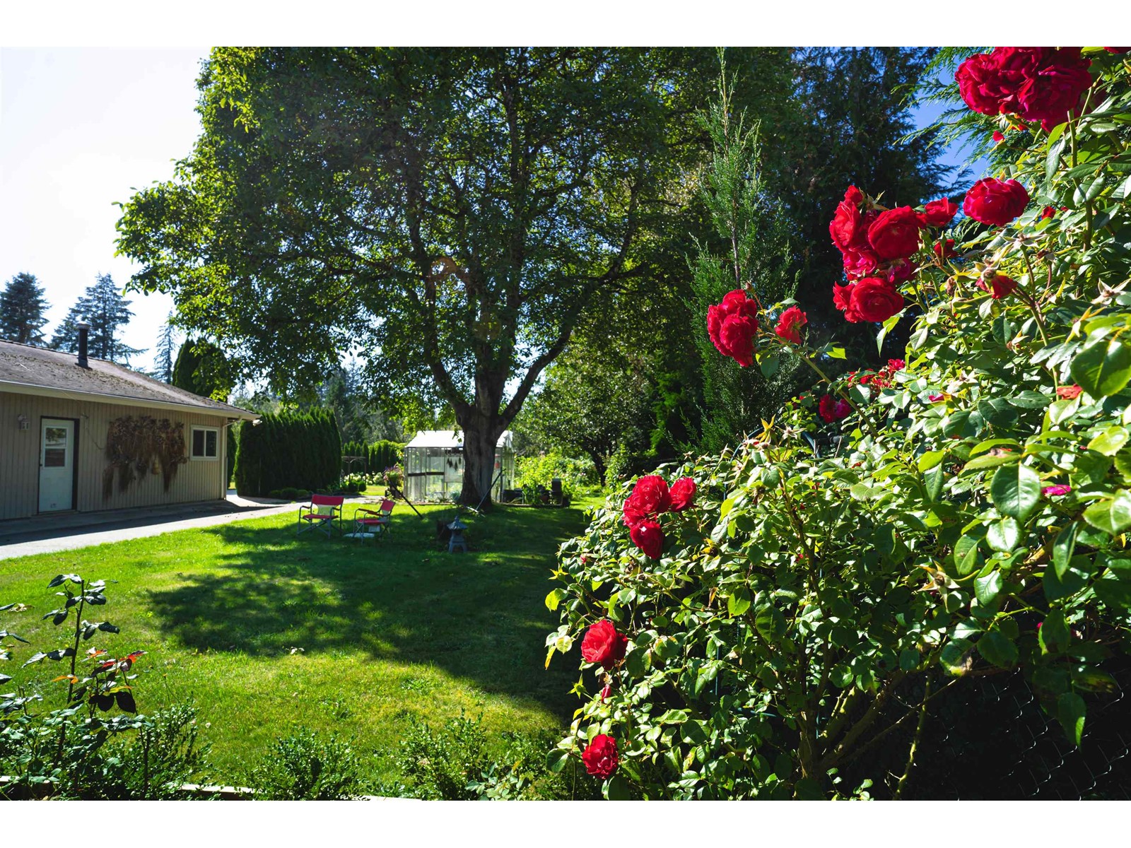 2283 204a Street, Langley, British Columbia  V2Z 2A2 - Photo 39 - R2958465