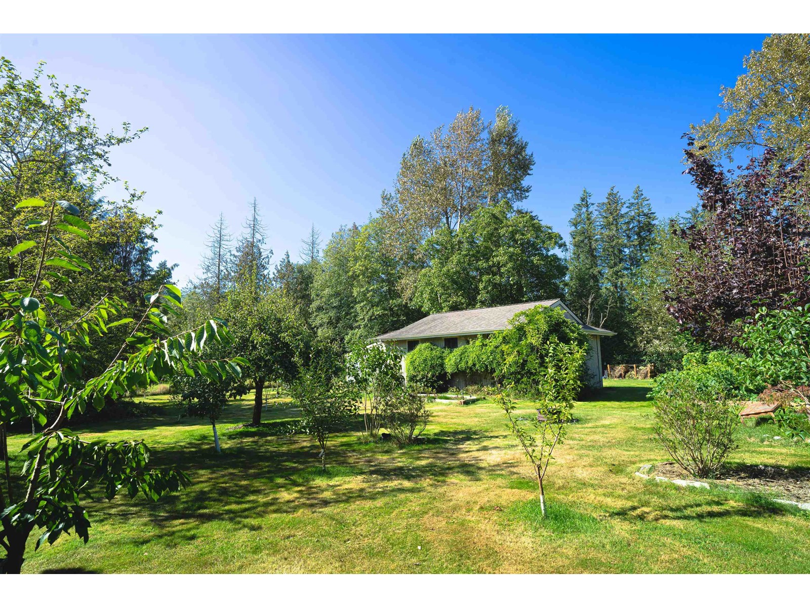 2283 204a Street, Langley, British Columbia  V2Z 2A2 - Photo 27 - R2958465