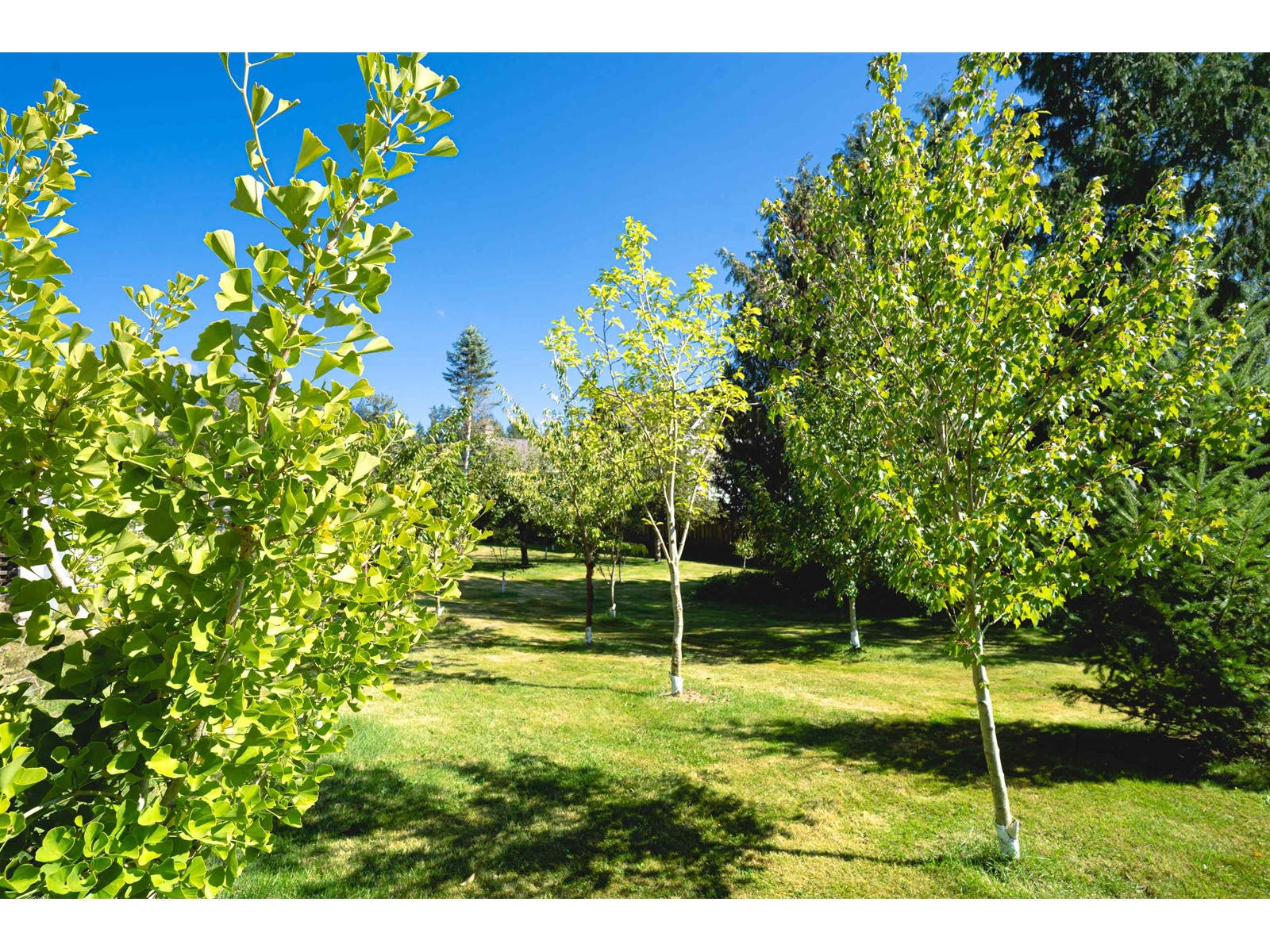 2283 204a Street, Langley, British Columbia  V2Z 2A2 - Photo 34 - R2958465
