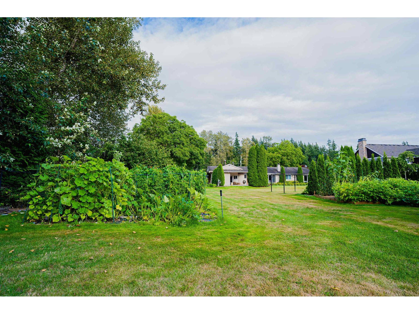 2283 204a Street, Langley, British Columbia  V2Z 2A2 - Photo 32 - R2958465