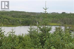 Lot 129 Country Lane, Brigus Junction, Newfoundland & Labrador  A0B 1G0 - Photo 4 - 1281144