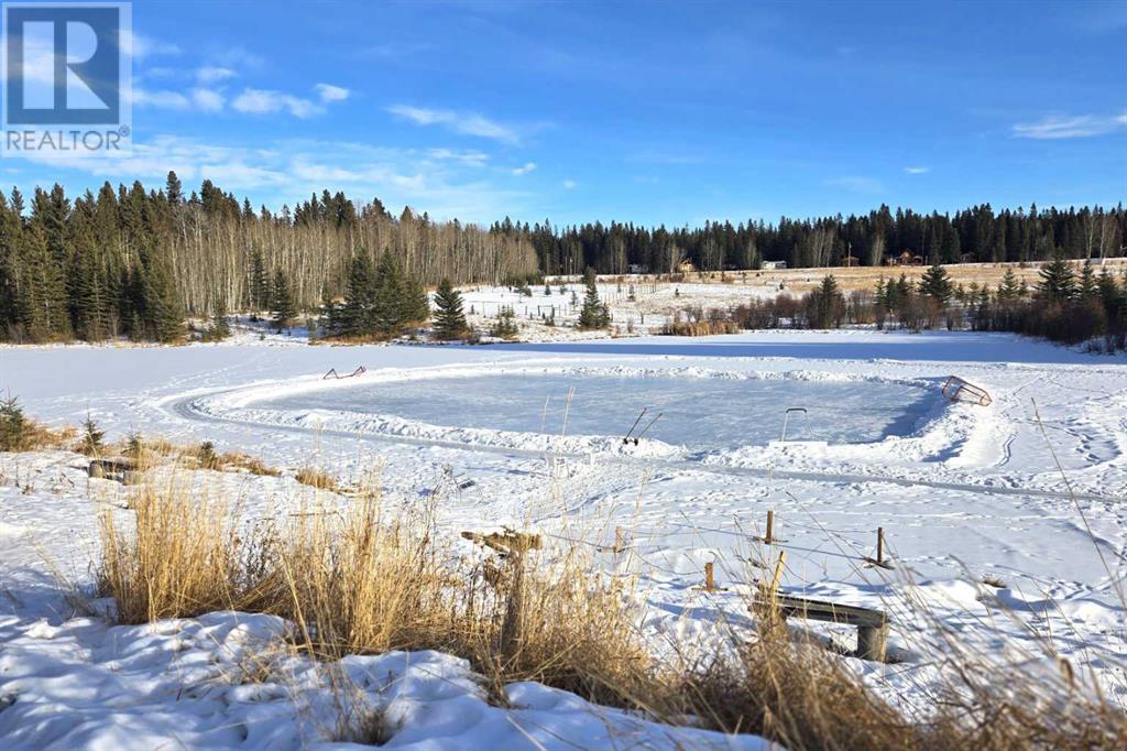 141, 5227 Township Road 320, Rural Mountain View County, Alberta  T0M 1X0 - Photo 43 - A2186214