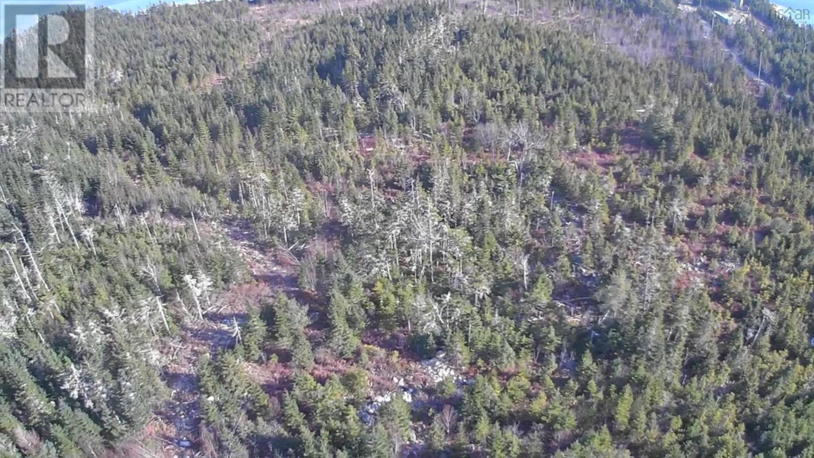 Lot 4-D West Petpeswick Road, Musquodoboit Harbour, Nova Scotia  B0J 2L0 - Photo 4 - 202501175