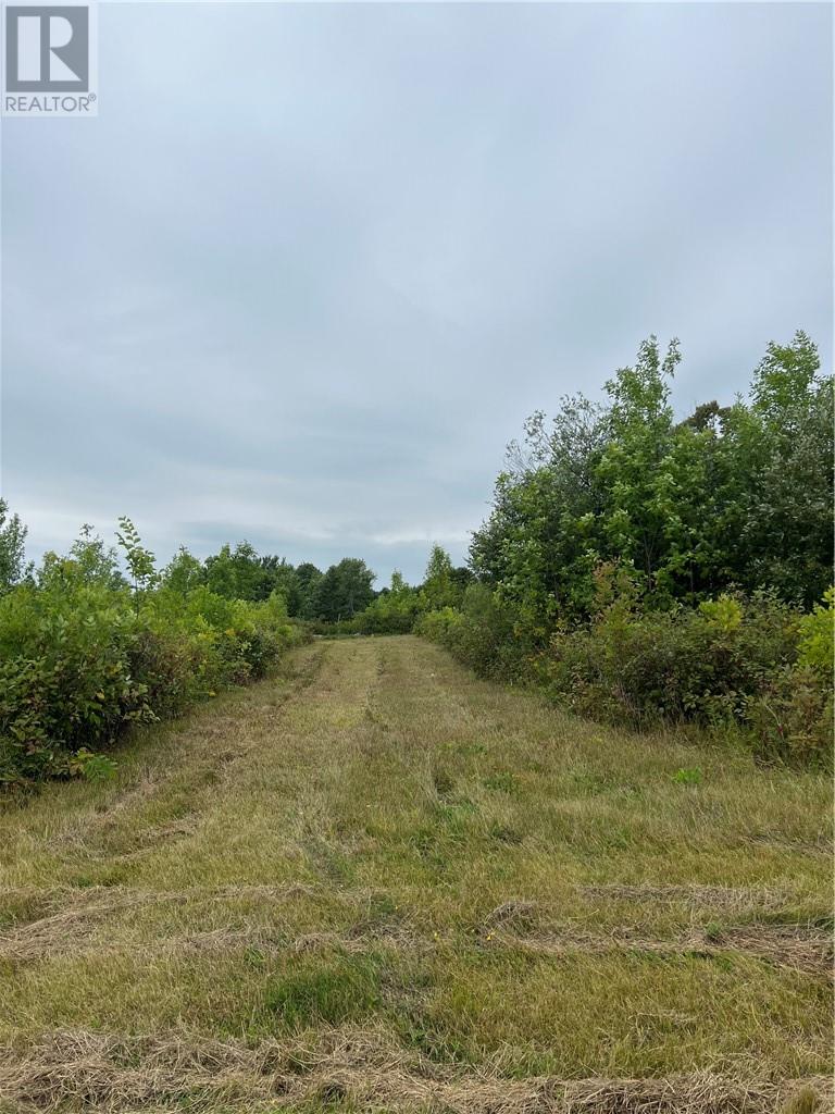 Pt 2 Highway 540, Gore Bay, Ontario  P0P 1H0 - Photo 10 - 2120506