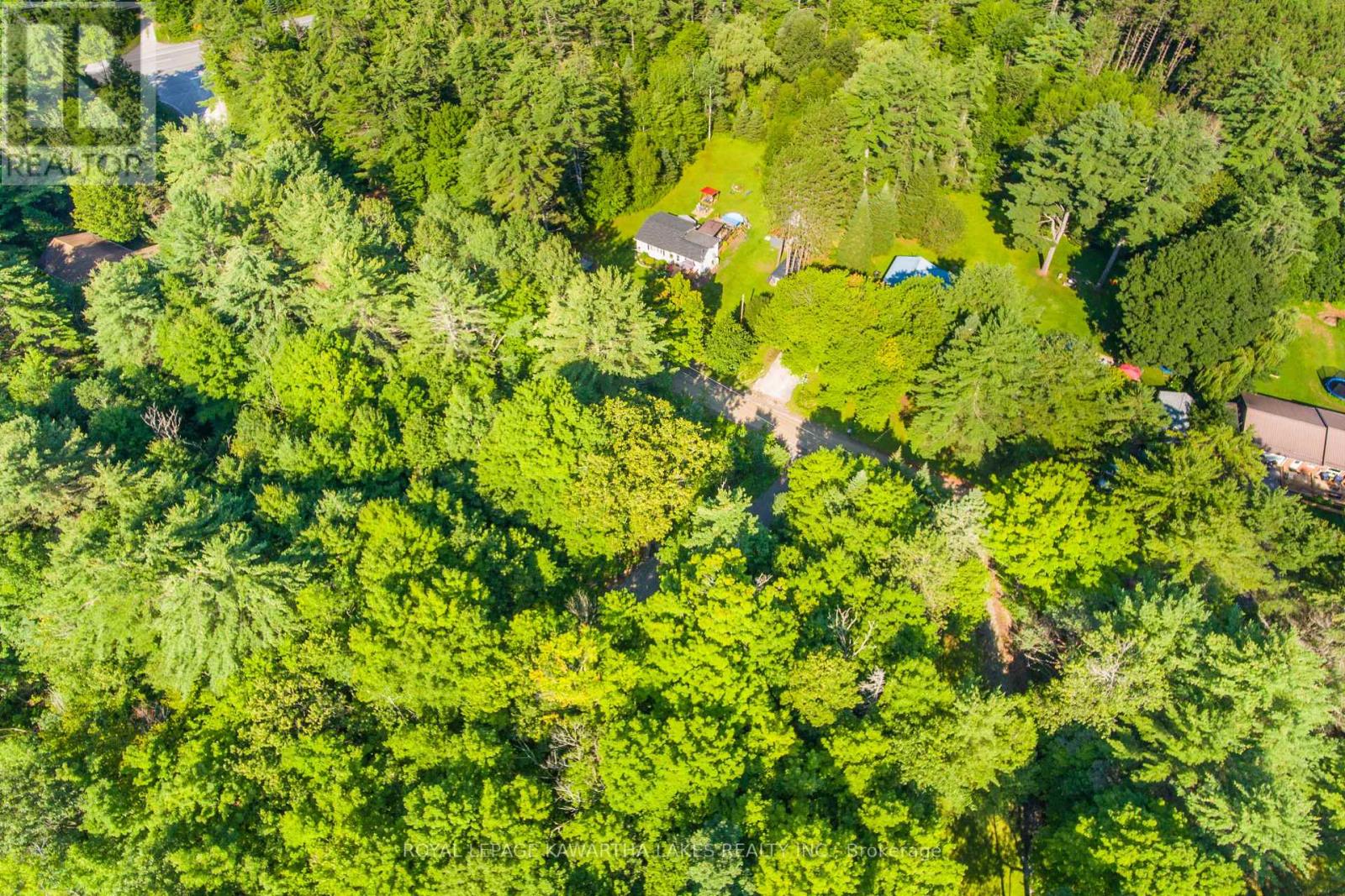 Lt 33 Benson Boulevard, Kawartha Lakes (Coboconk), Ontario  K0M 1K0 - Photo 12 - X11935382