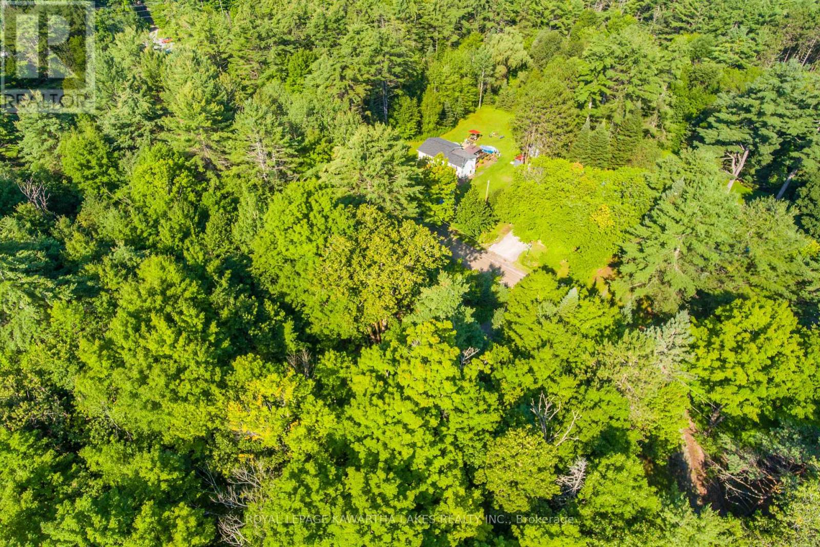 Lt 33 Benson Boulevard, Kawartha Lakes (Coboconk), Ontario  K0M 1K0 - Photo 15 - X11935382