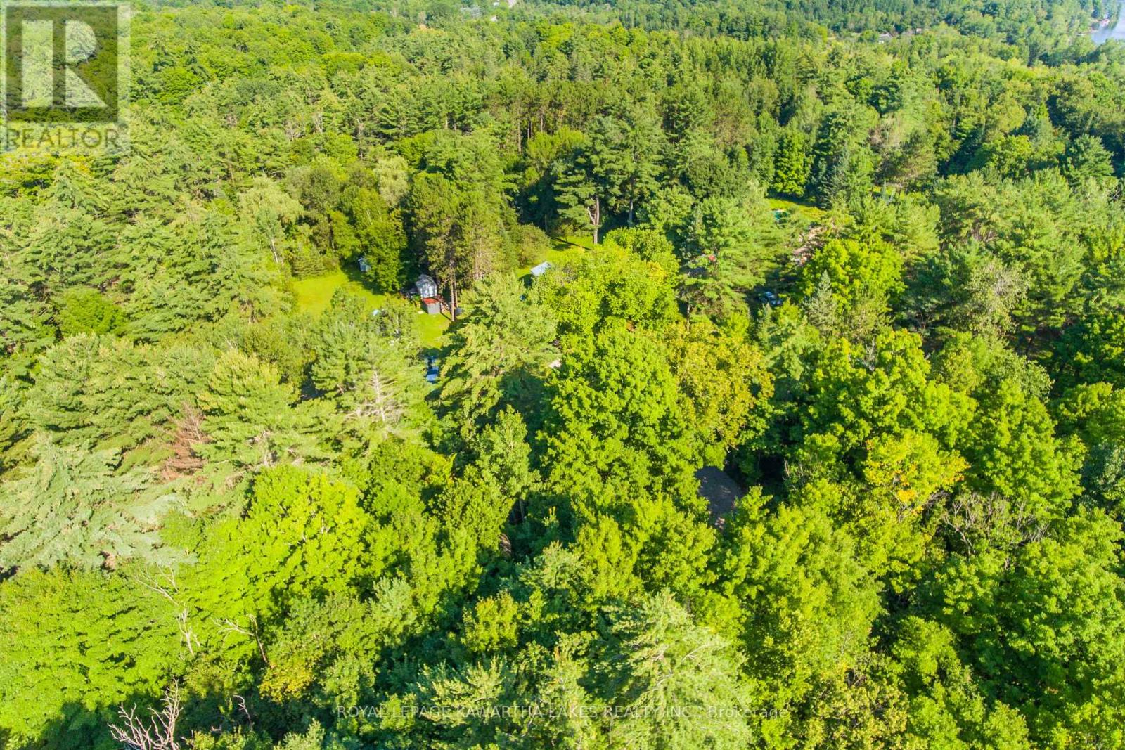 Lt 33 Benson Boulevard, Kawartha Lakes (Coboconk), Ontario  K0M 1K0 - Photo 17 - X11935382