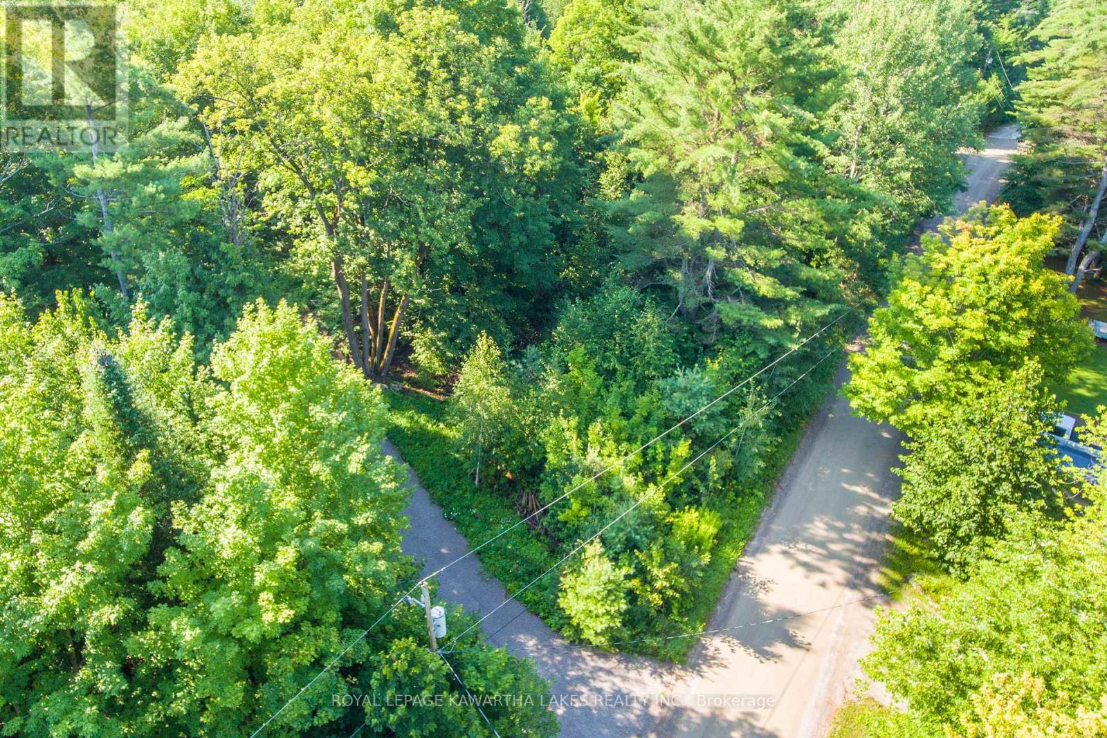 Lt 33 Benson Boulevard, Kawartha Lakes (Coboconk), Ontario  K0M 1K0 - Photo 19 - X11935382