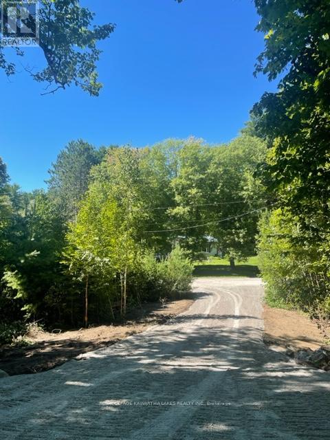 Lt 33 Benson Boulevard, Kawartha Lakes (Coboconk), Ontario  K0M 1K0 - Photo 20 - X11935382