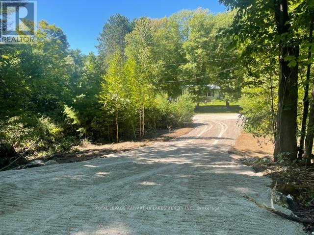 Lt 33 Benson Boulevard, Kawartha Lakes (Coboconk), Ontario  K0M 1K0 - Photo 21 - X11935382