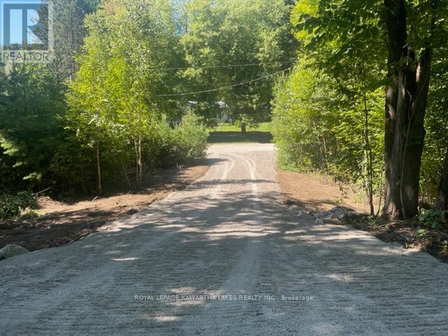Lt 33 Benson Boulevard, Kawartha Lakes (Coboconk), Ontario  K0M 1K0 - Photo 23 - X11935382