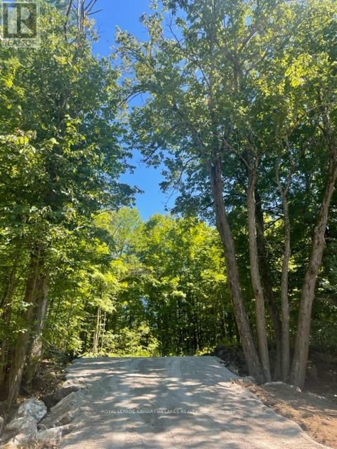 Lt 33 Benson Boulevard, Kawartha Lakes (Coboconk), Ontario  K0M 1K0 - Photo 25 - X11935382