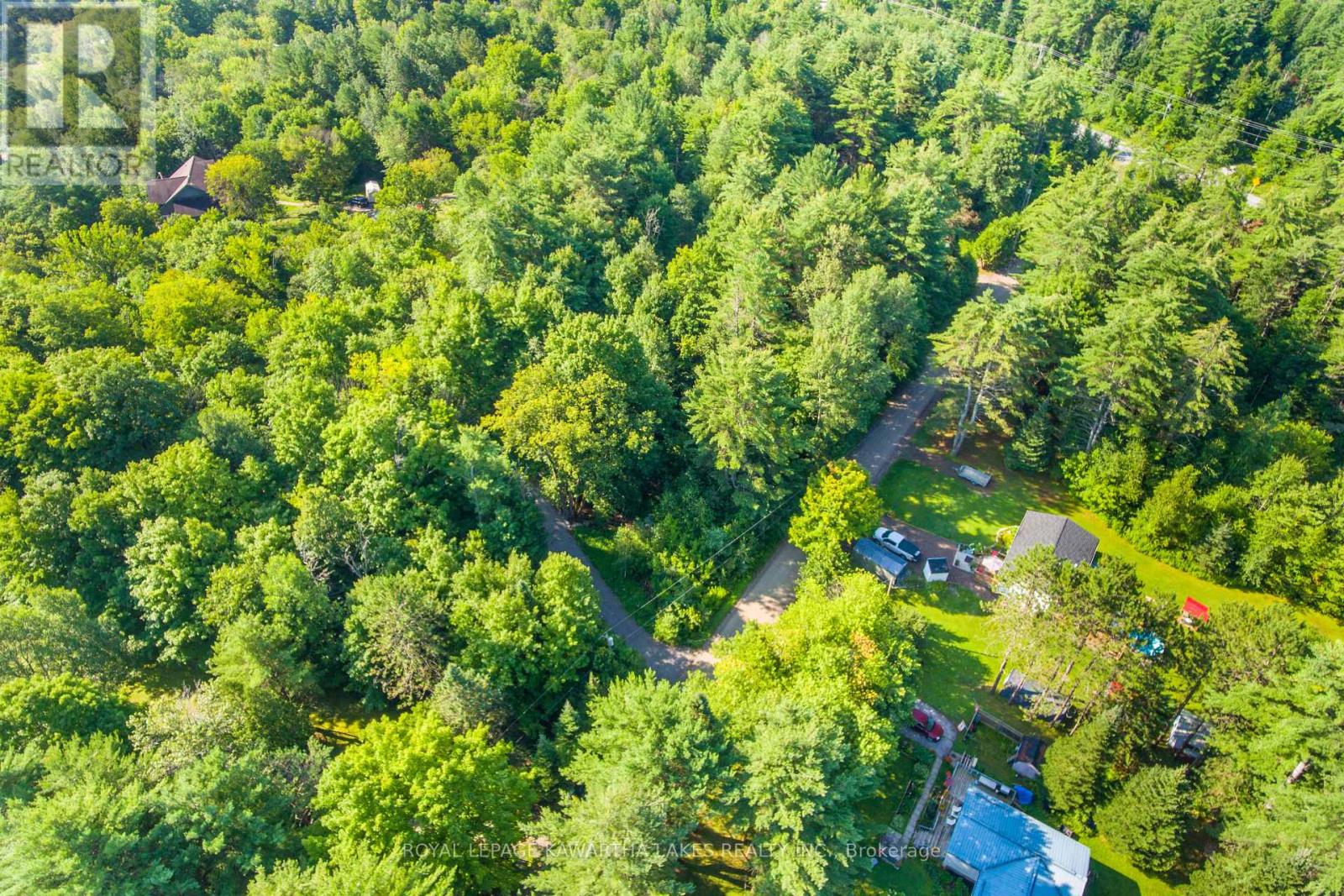 Lt 33 Benson Boulevard, Kawartha Lakes (Coboconk), Ontario  K0M 1K0 - Photo 3 - X11935382