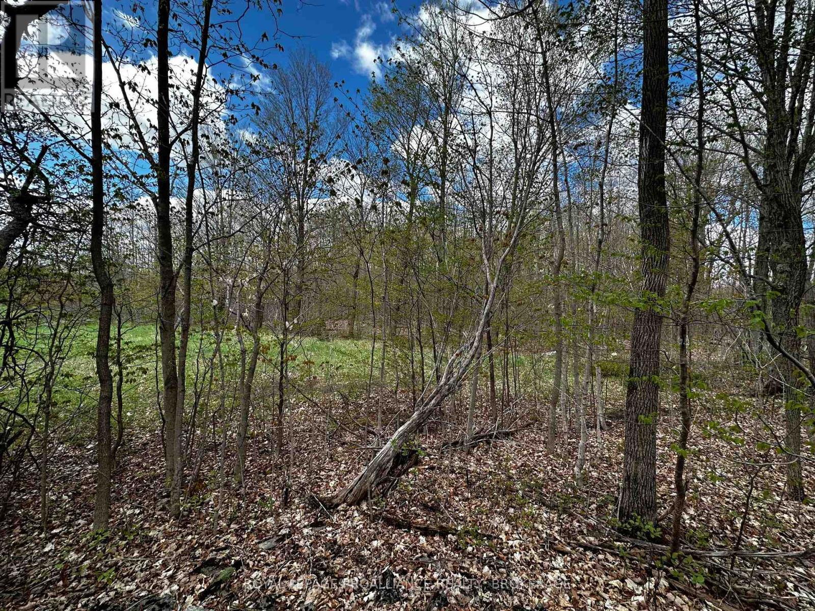 Lot 3 Jamieson Road, South Frontenac, Ontario  K0H 1V0 - Photo 7 - X11898039