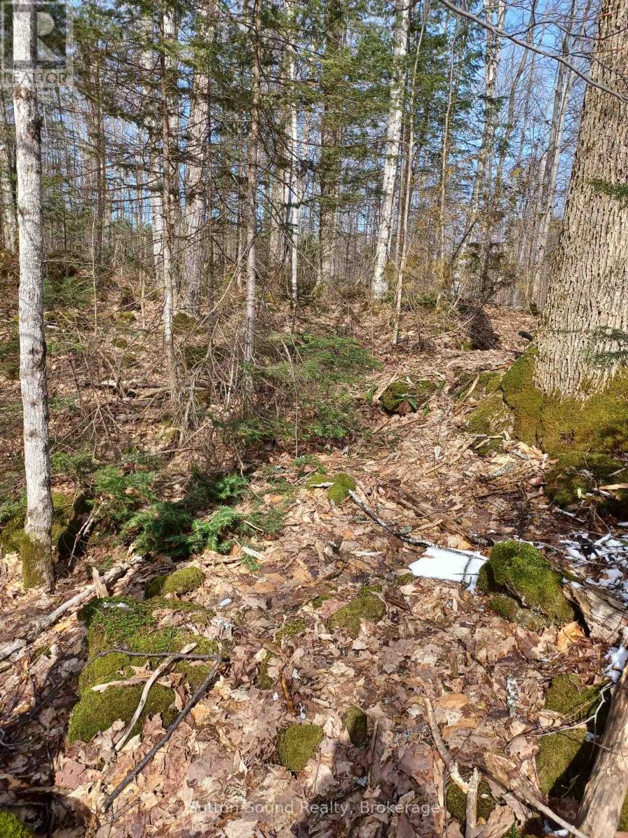 382309 Concession 17, South Bruce Peninsula, Ontario  N0H 2T0 - Photo 4 - X11935568