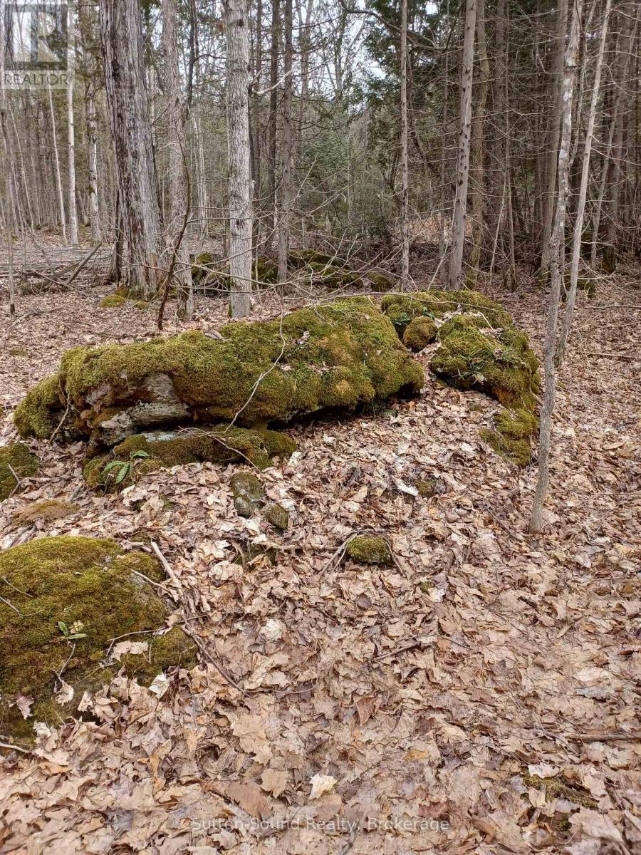 382309 Concession 17, South Bruce Peninsula, Ontario  N0H 2T0 - Photo 5 - X11935568