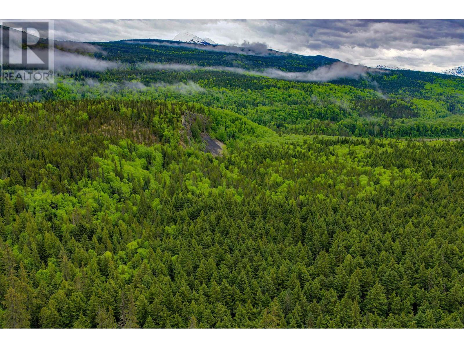 Dl 4772 Skeena River, Terrace, British Columbia V8G 0A8 - Photo 4 - R2959127