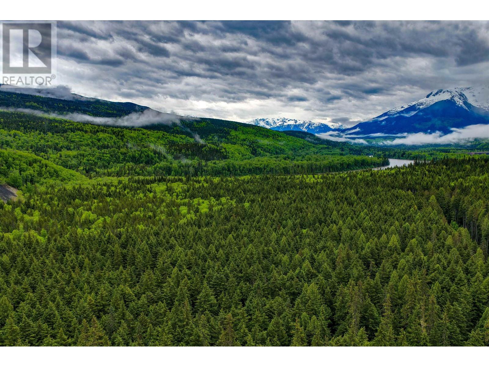 Dl 4772 Skeena River, Terrace, British Columbia V8G 0A8 - Photo 3 - R2959127