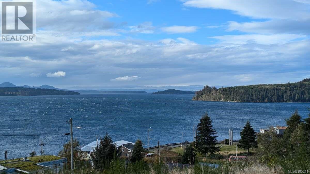 542e Larch St, Alert Bay, British Columbia  V0N 1A0 - Photo 23 - 985241