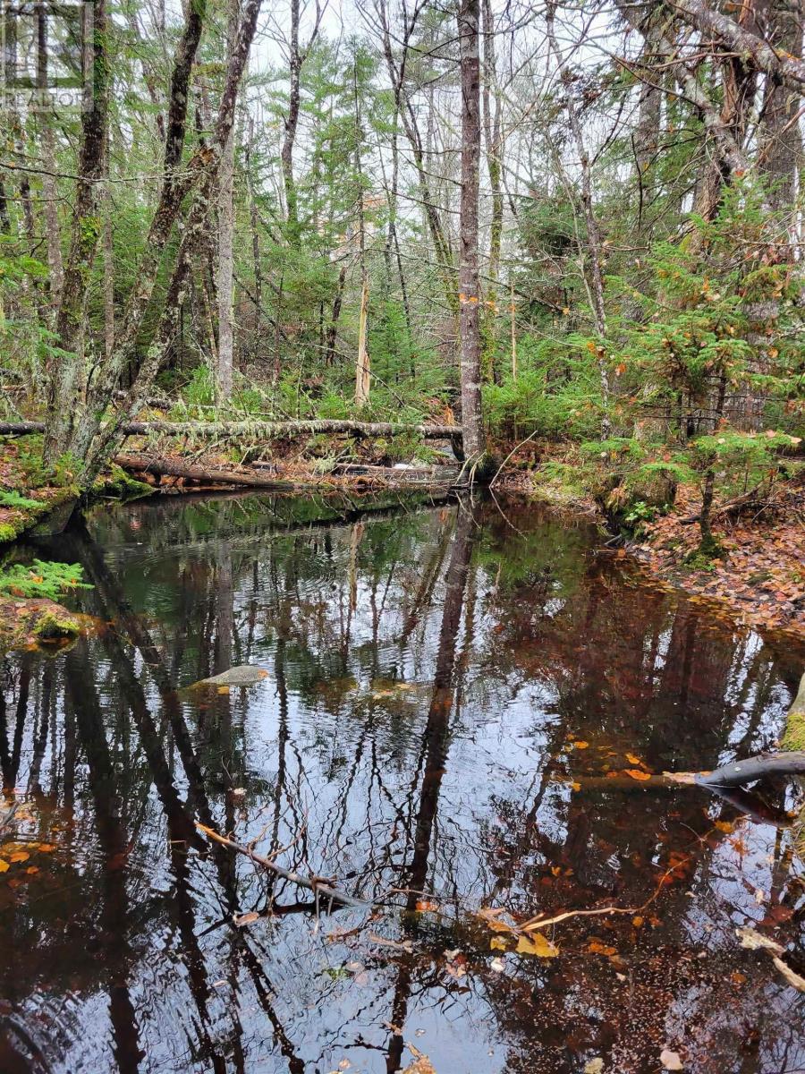 138 Shore Road, Birchtown, Nova Scotia  B0T 1W0 - Photo 5 - 202501428