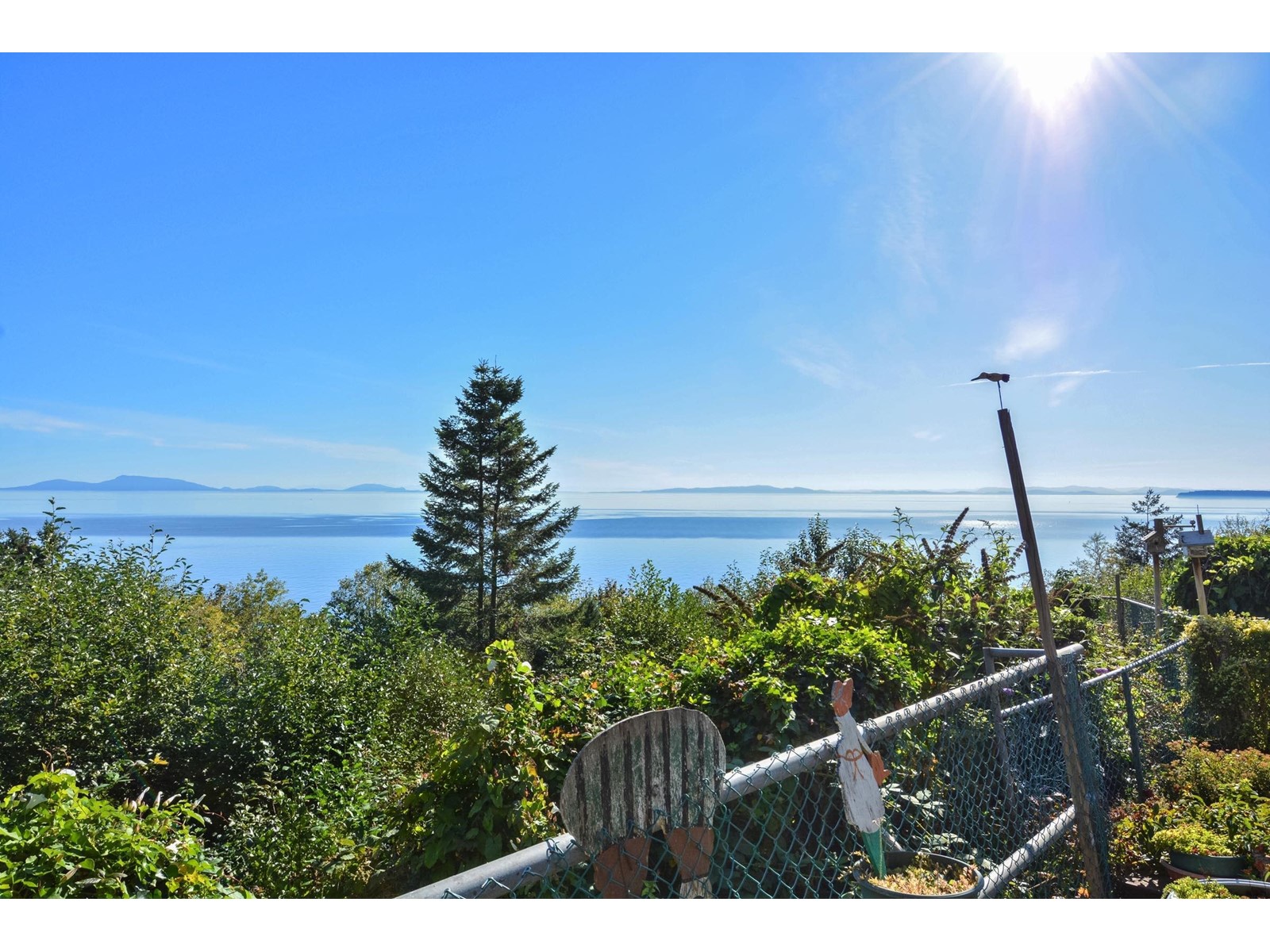 12816 13 AVENUE, surrey, British Columbia V4A1B4