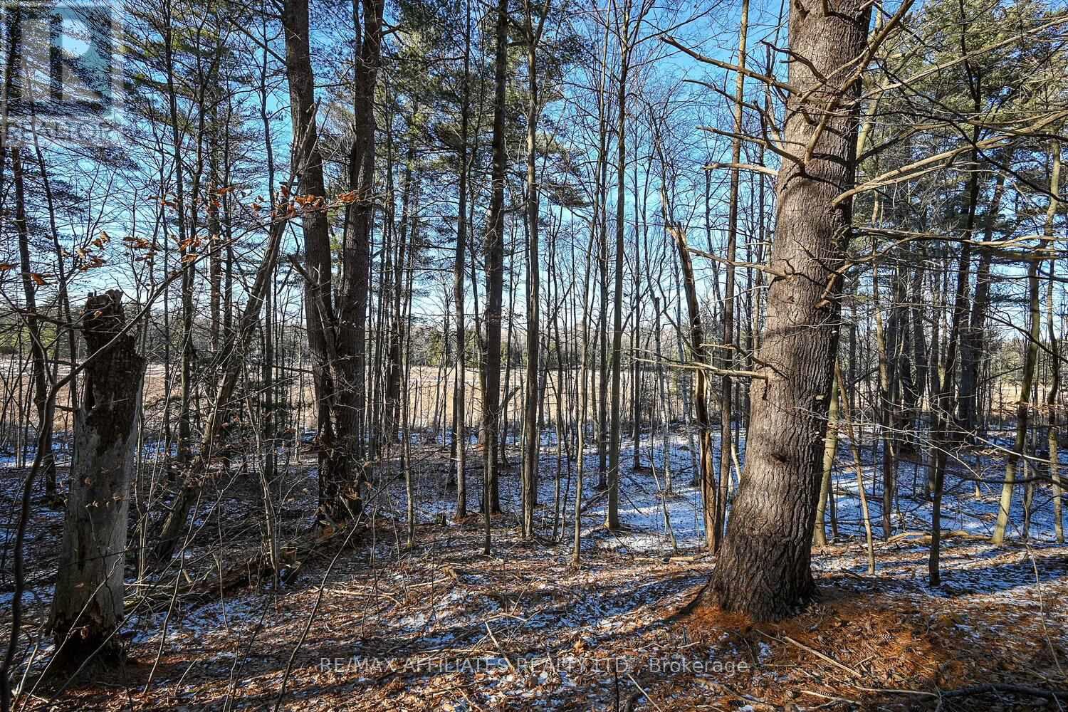 00 Clear Lake Road, Rideau Lakes, Ontario  K0G 1E0 - Photo 9 - X11936591