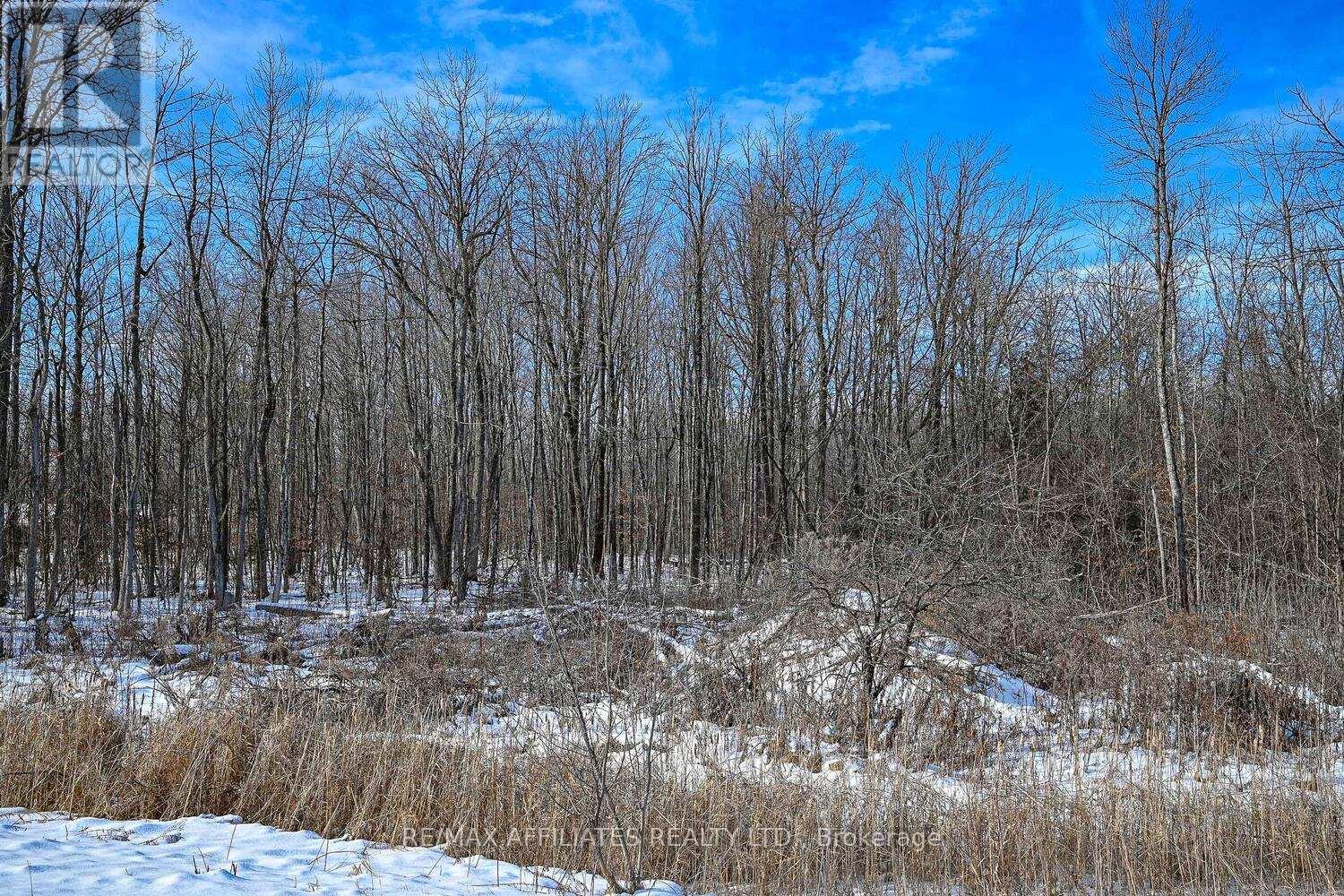 00 Miller Drive, Drummond/north Elmsley, Ontario  K7H 3C8 - Photo 8 - X11936600