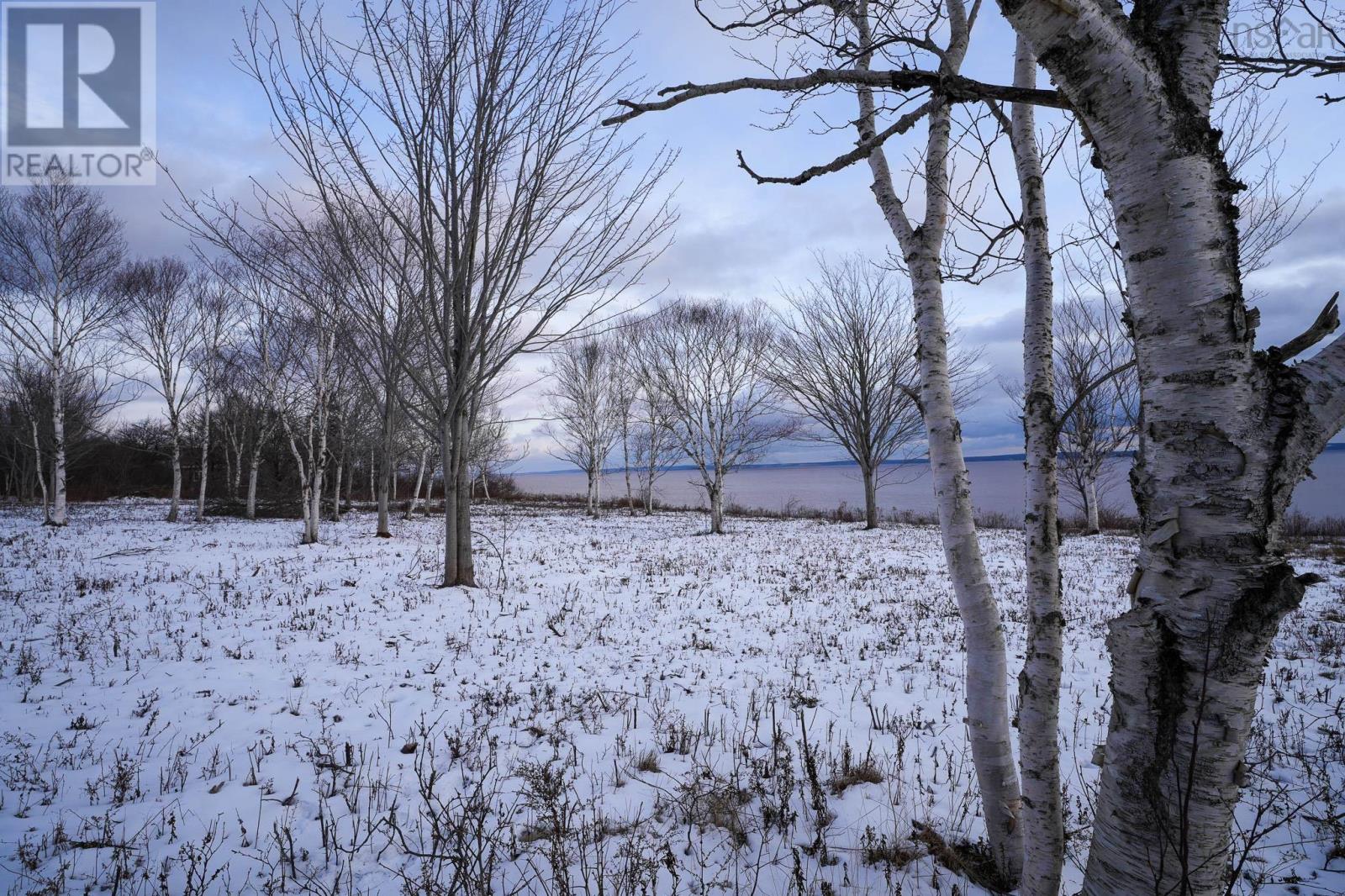 Lot 4 Highway 2, Upper Economy, Nova Scotia  B0M 1B0 - Photo 6 - 202501430