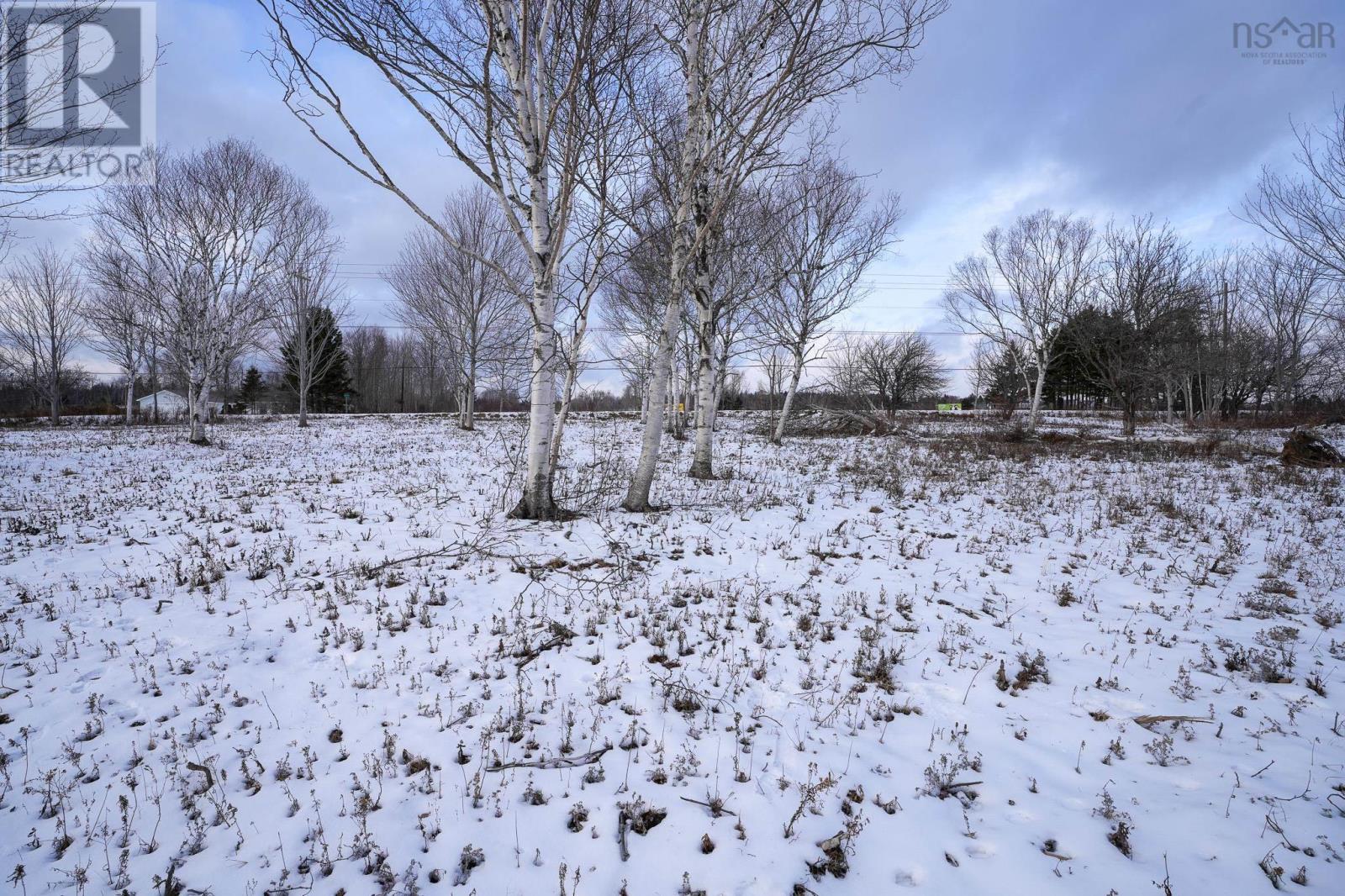 Lot 4 Highway 2, Upper Economy, Nova Scotia  B0M 1B0 - Photo 9 - 202501430