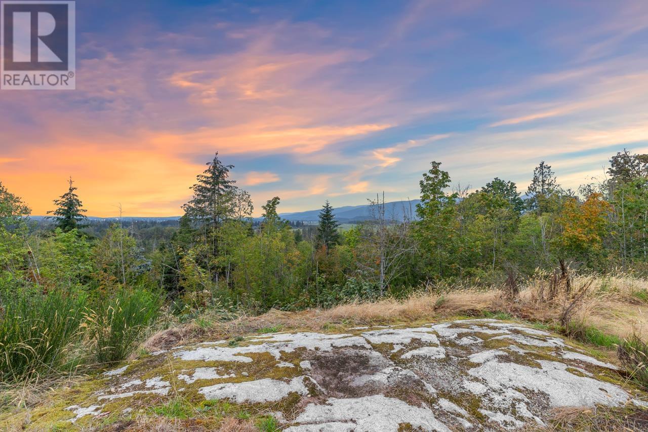 22803 Nelson Court, Maple Ridge, British Columbia  V4R 0G1 - Photo 37 - R2959042