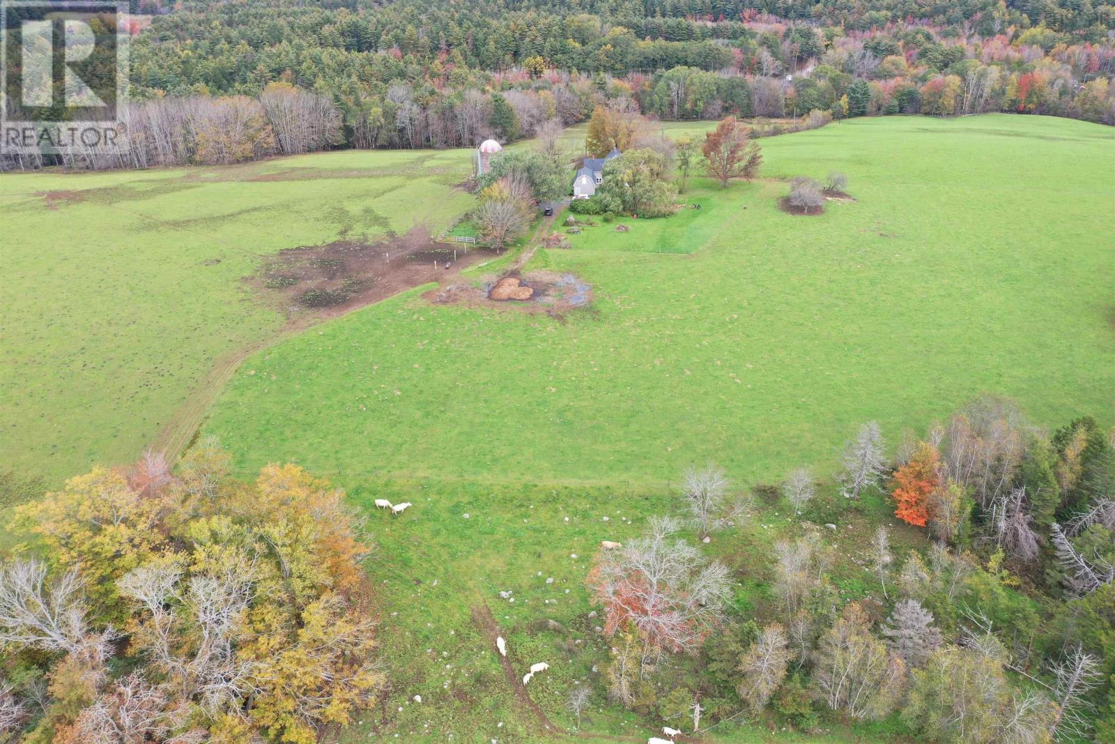 2249 Upper Branch Road, Midville Branch, Nova Scotia  B2R 1S2 - Photo 25 - 202501452