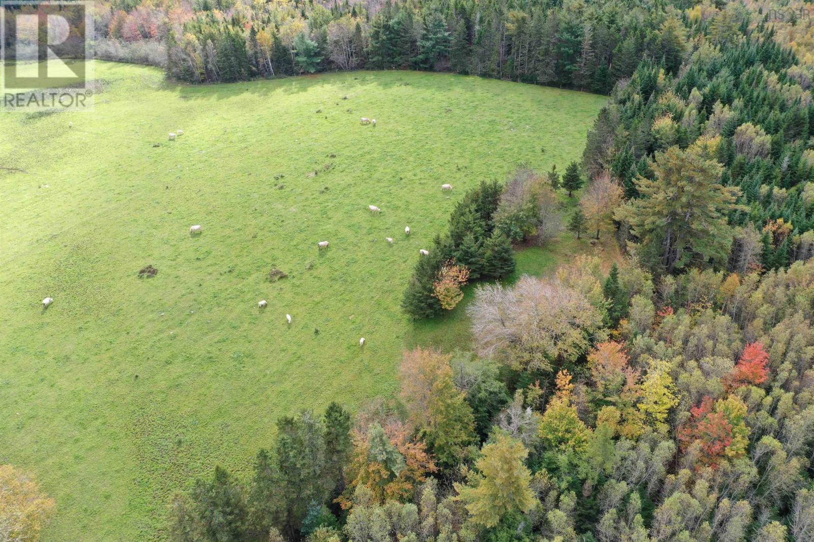 2249 Upper Branch Road, Midville Branch, Nova Scotia  B2R 1S2 - Photo 35 - 202501452