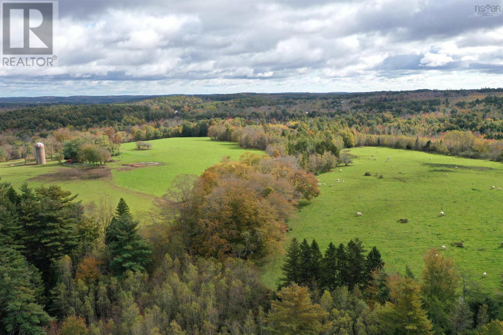 2249 Upper Branch Road, Midville Branch, Nova Scotia  B2R 1S2 - Photo 36 - 202501452