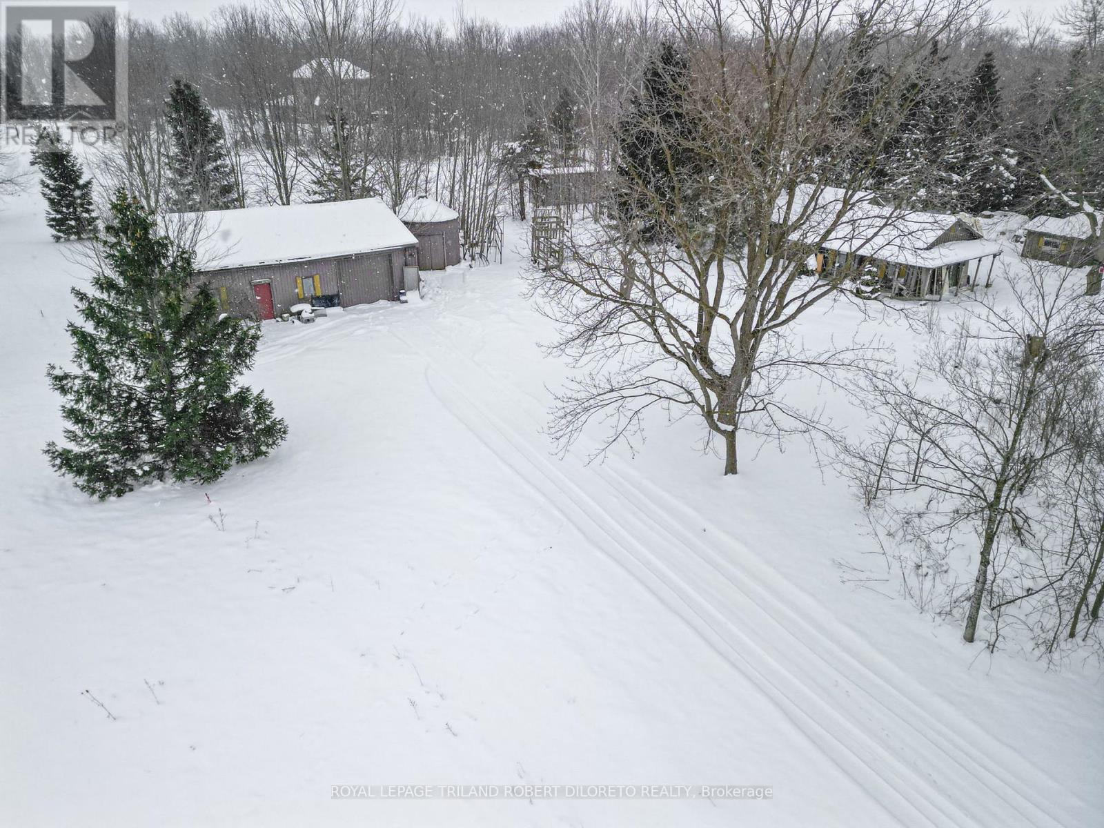 12096 Gale Road, North Middlesex, Ontario  N0M 1A0 - Photo 7 - X11937176