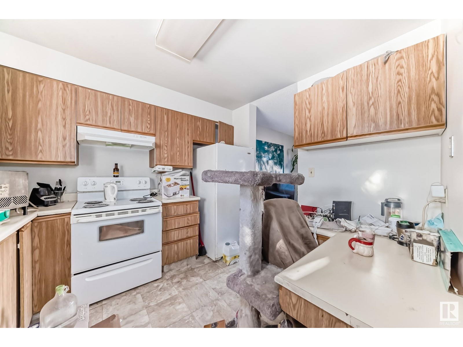 Property at #55 1415 62 ST NW image 4