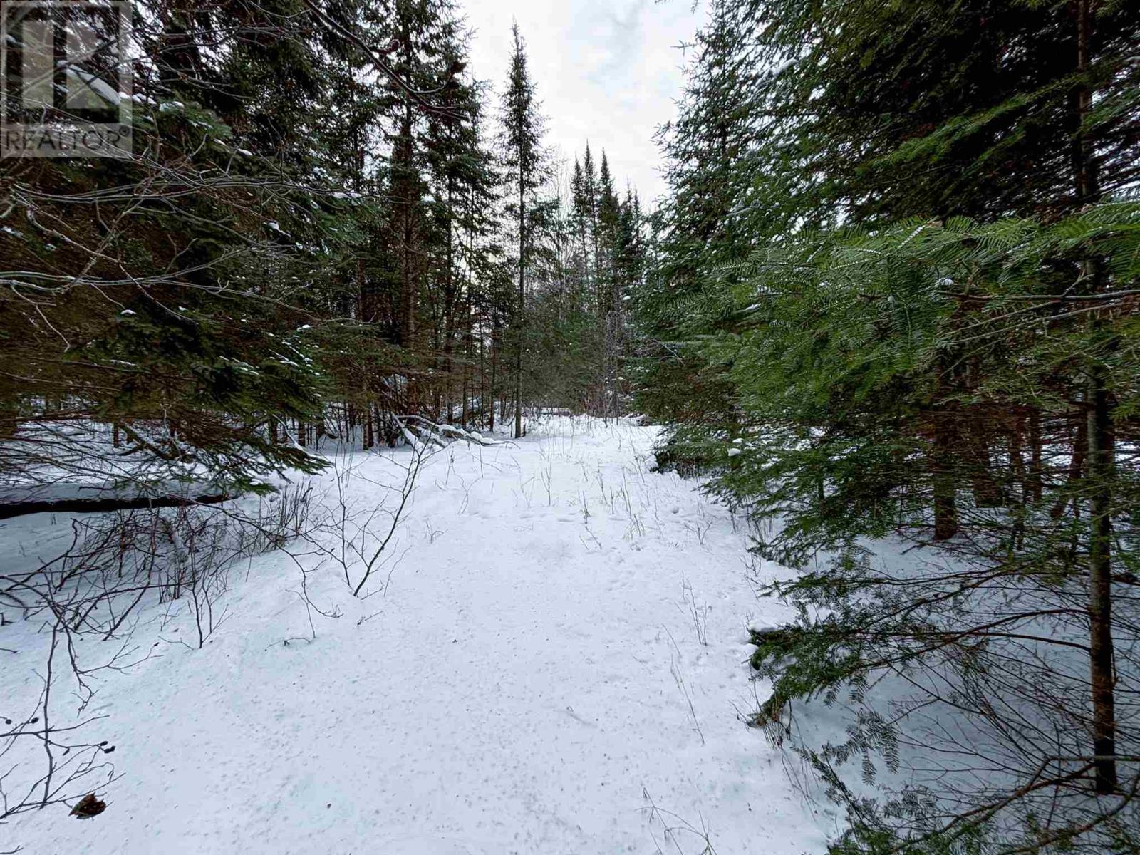 Lot 4 Grassy Lake, Kenora, Ontario  P9N 4N2 - Photo 13 - TB250119