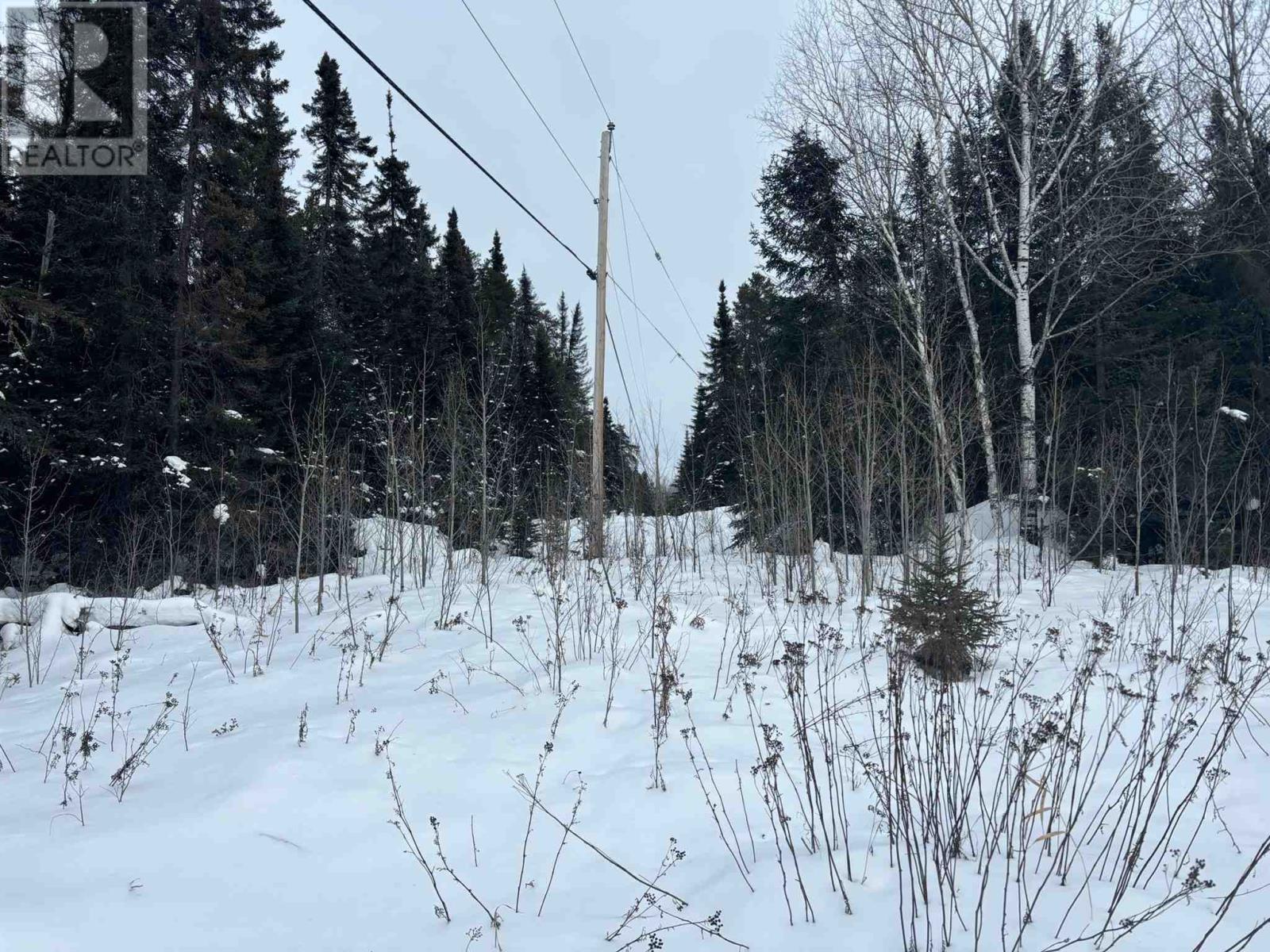 Lot 4 Grassy Lake, Kenora, Ontario  P9N 4N2 - Photo 19 - TB250119