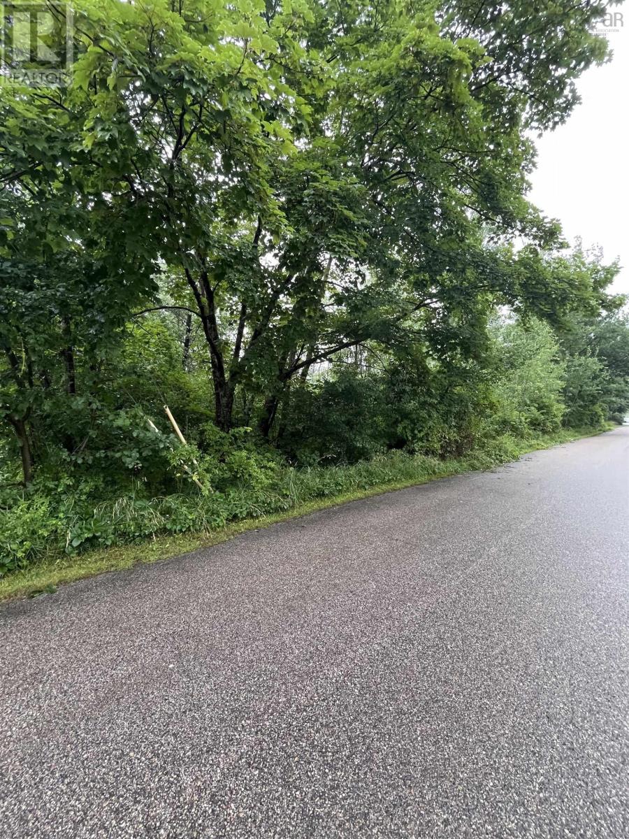 95 Chapel Street, Annapolis Royal, Nova Scotia  B0S 1A0 - Photo 3 - 202501481