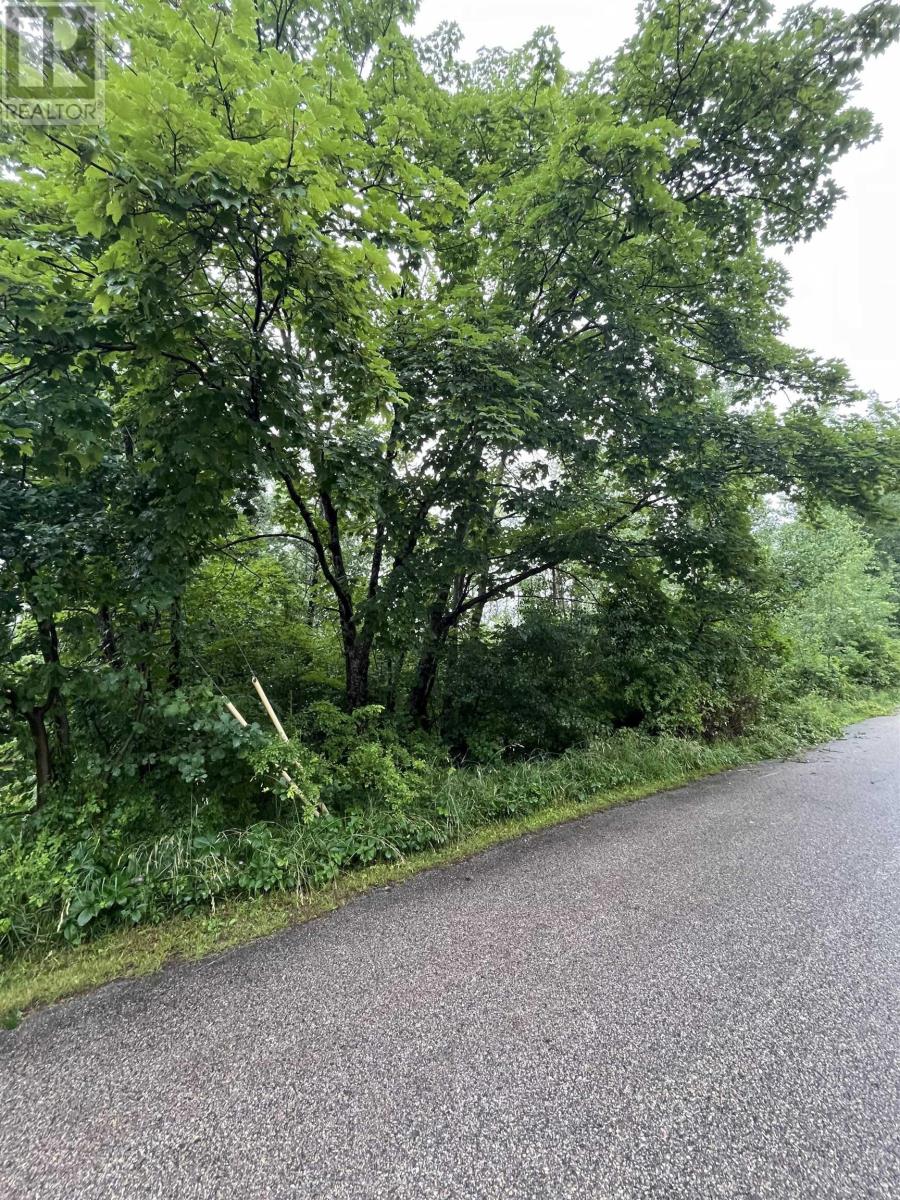 95 Chapel Street, Annapolis Royal, Nova Scotia  B0S 1A0 - Photo 5 - 202501481