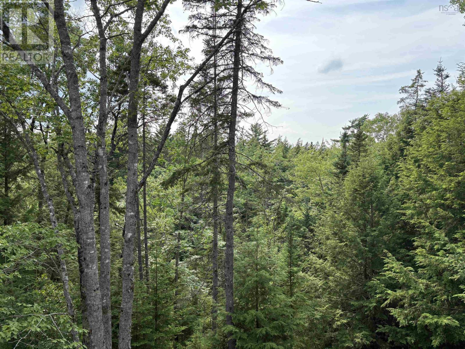 4 Rhodas Lane, Elmsdale, Nova Scotia  B2S 1K5 - Photo 39 - 202501496