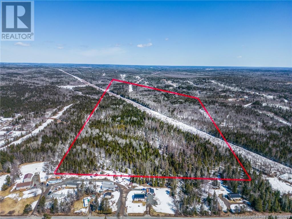 Woodland Wilsey Road, Rusagonis, New Brunswick  E3B 0T5 - Photo 4 - NB110213