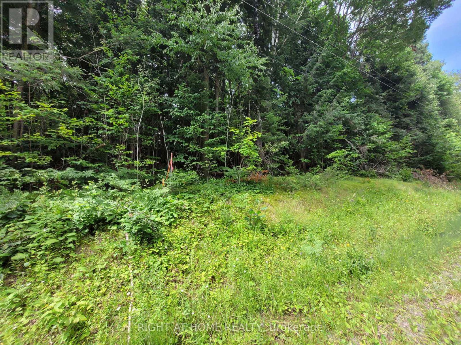 Lot 1 Canaan Road, Mcnab/braeside, Ontario  K7V 3Z4 - Photo 4 - X11938143