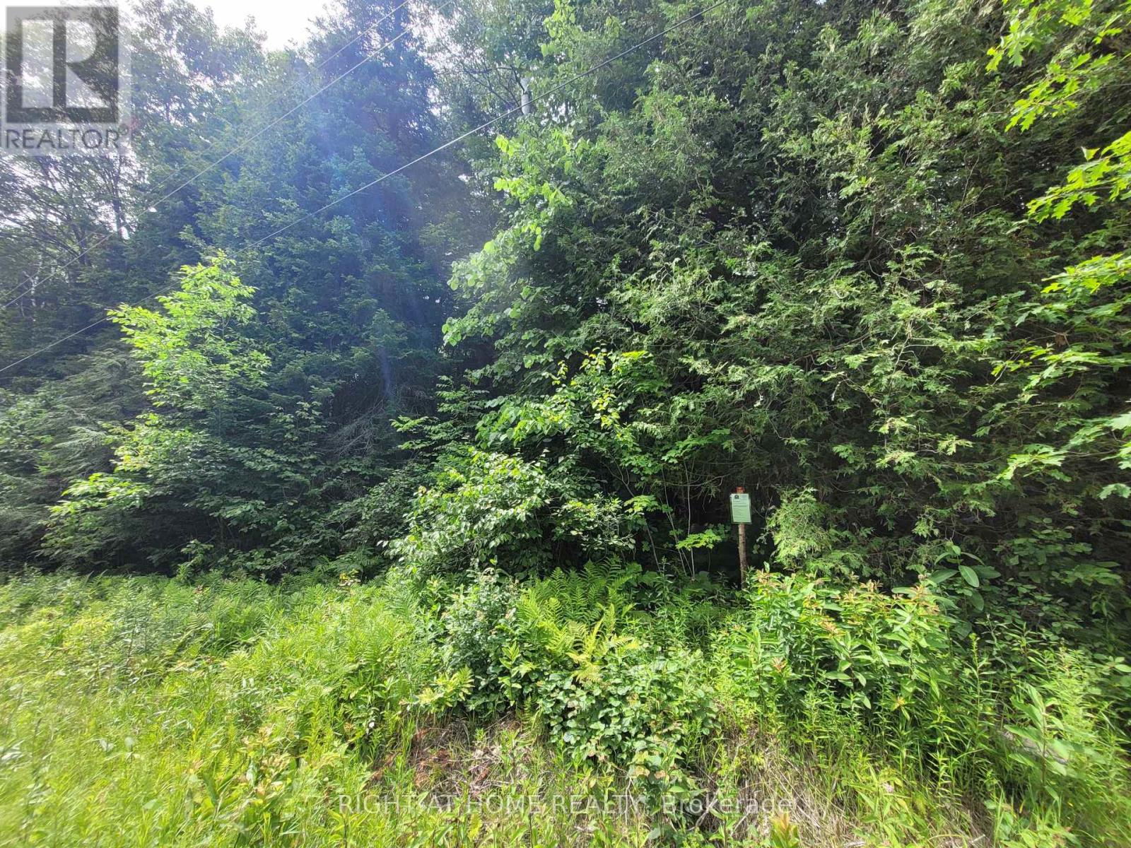 Lot 1 Canaan Road, Mcnab/braeside, Ontario  K7V 3Z4 - Photo 5 - X11938143