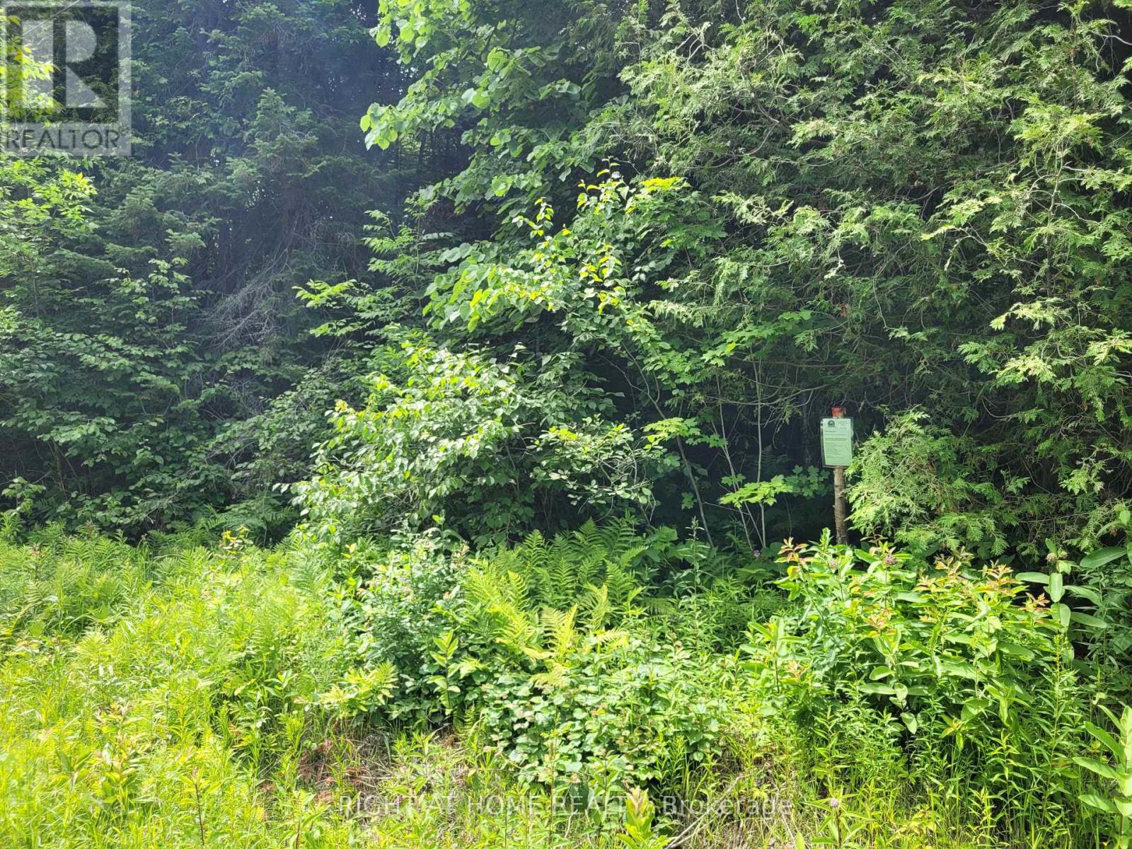 Lot 1 Canaan Road, Mcnab/braeside, Ontario  K7V 3Z4 - Photo 6 - X11938143